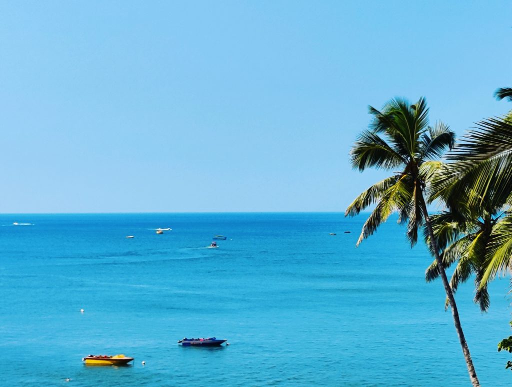 Anjuna Beach View