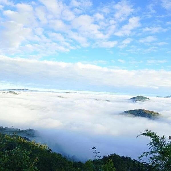 Vanajangi Hill Station