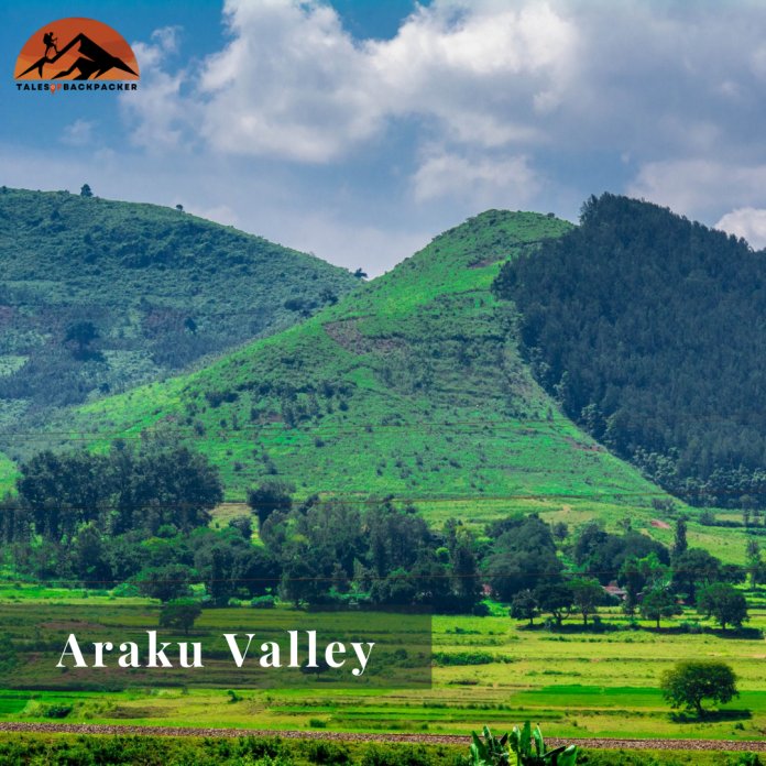 ARAKU VALLEY
