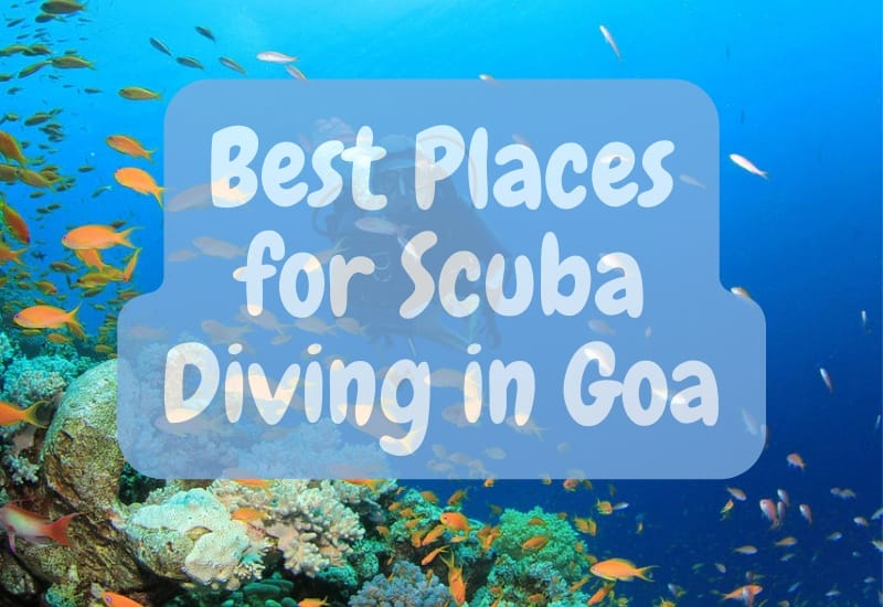 Best Places for Scuba Diving & Water Sports in Goa