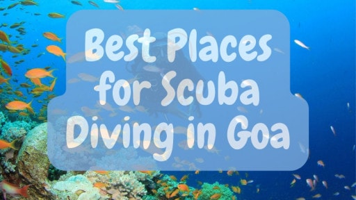 Best Places for Scuba Diving & Water Sports in Goa