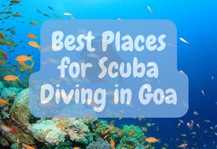 Best Places for Scuba Diving in Goa