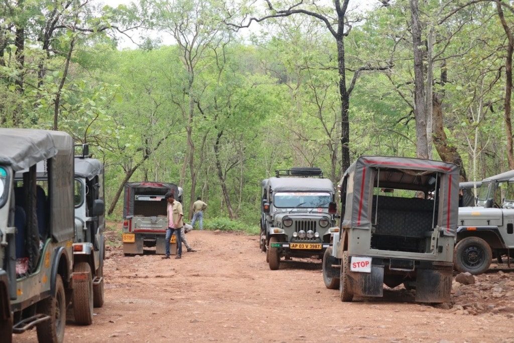 Jeep to Istakameswari Devi Temple 2025, Nallamala trek Source: Google Images