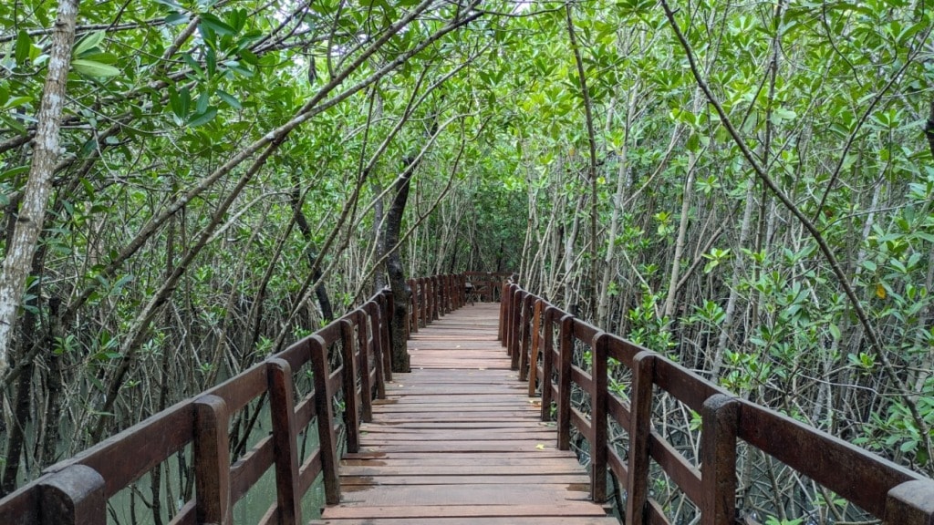 Places to Visit in Honnavar