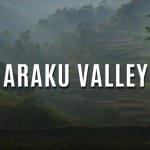 Araku Valley Tourist Places- Places to Visit In Araku Valley, Travel Guide, Itinerary