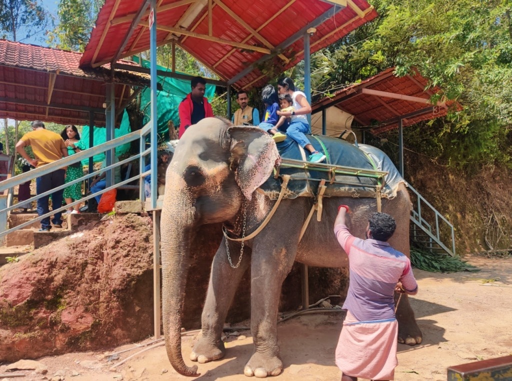 Elephant Arrival spot