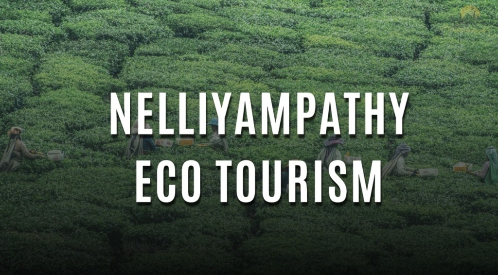 Nelliyampathy