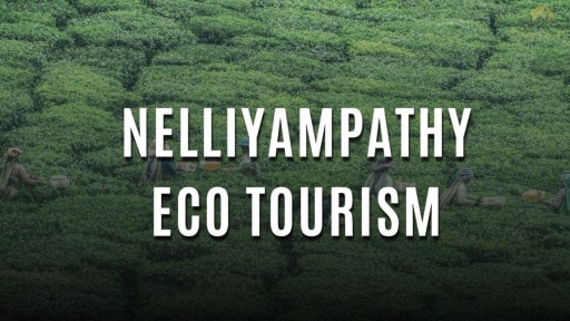 Nelliyampathy