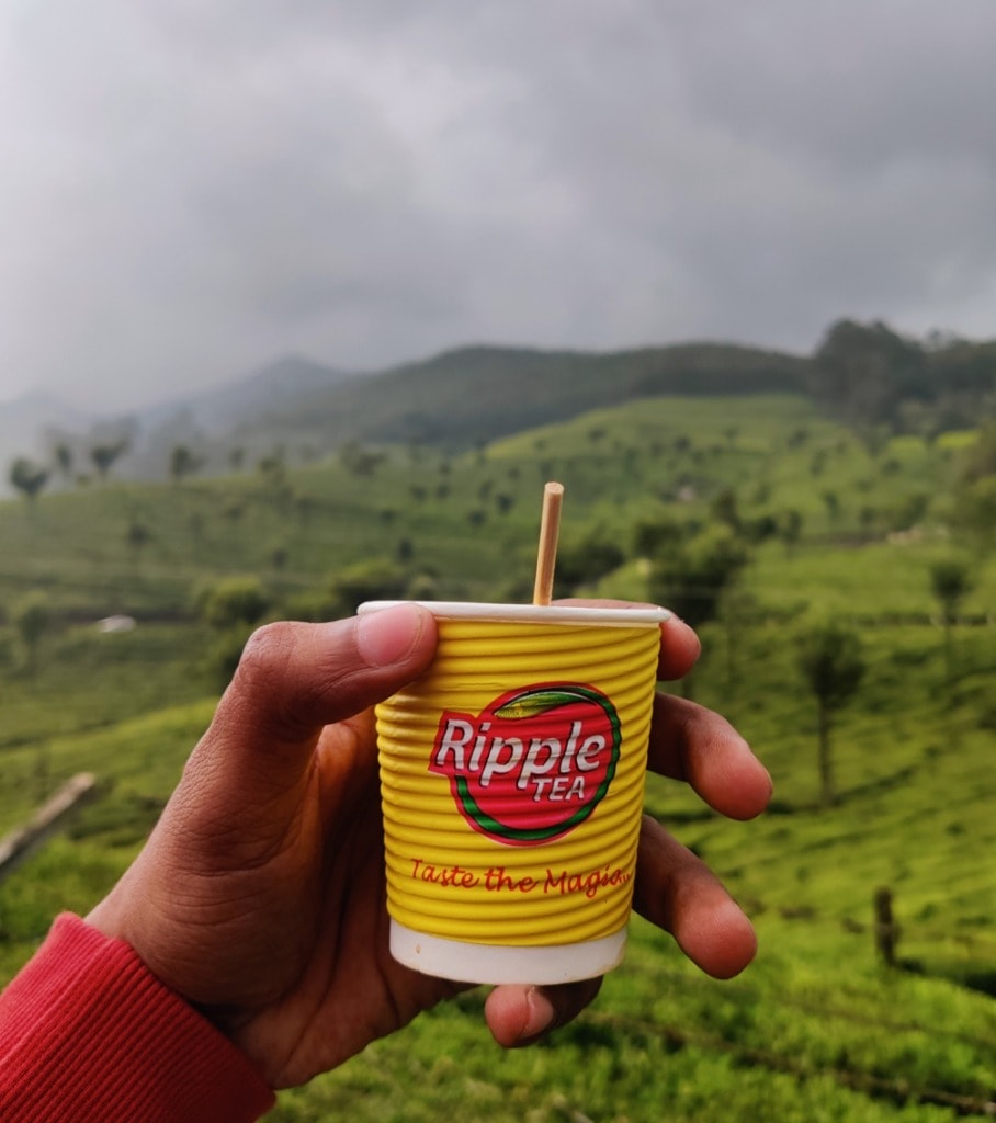 Tea Plantations and Museum