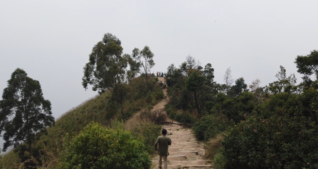 Top Station munnar