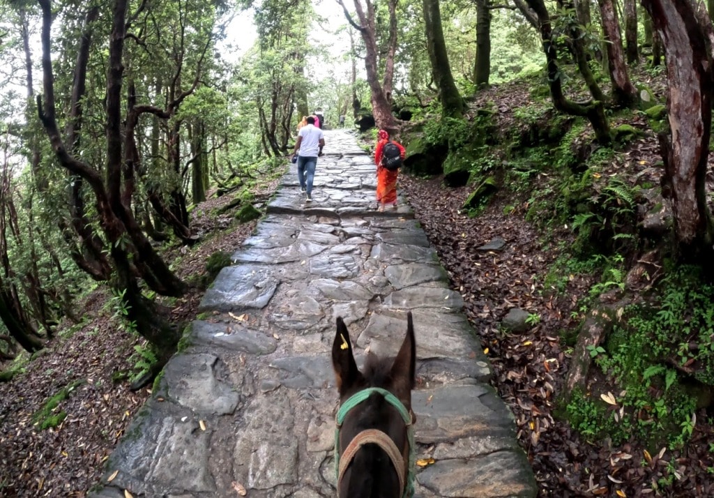 Tungnath Trek