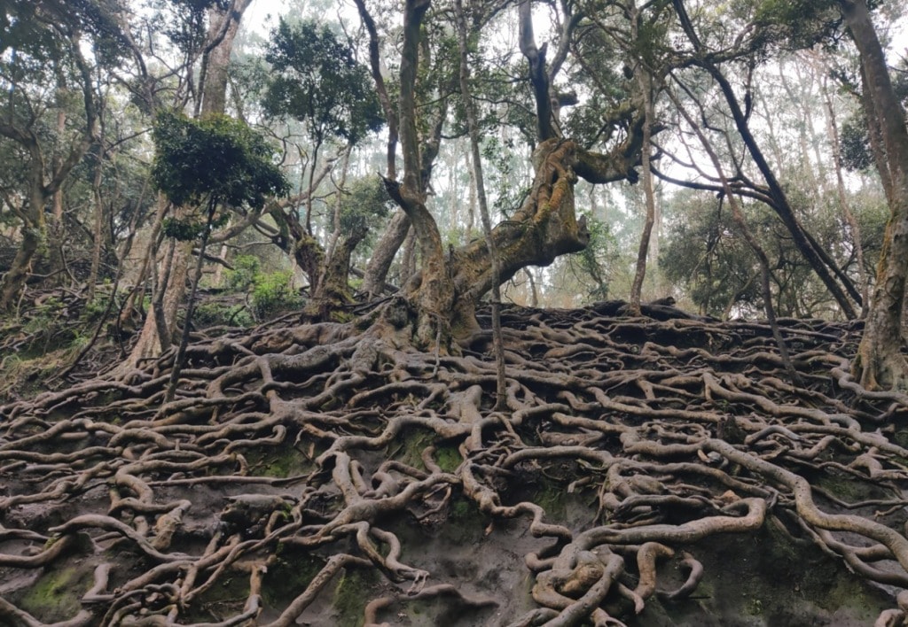 Guna Caves