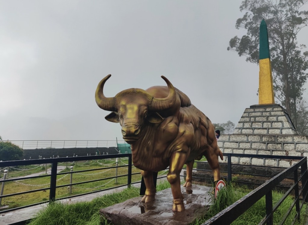 Moir Point Viewpoint