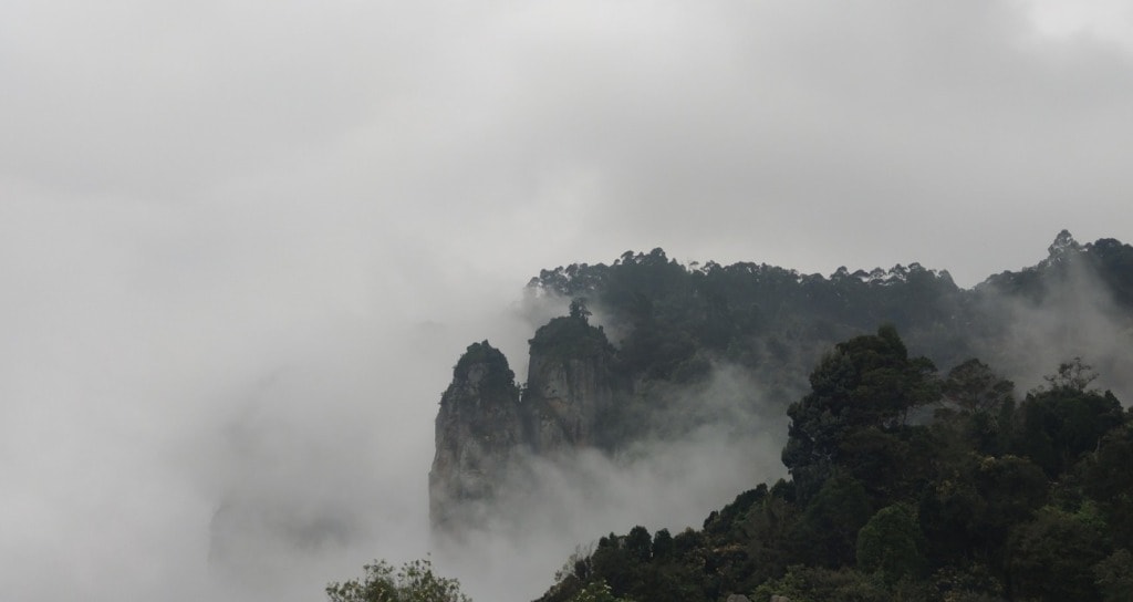 Pillar Rocks Viewpoint