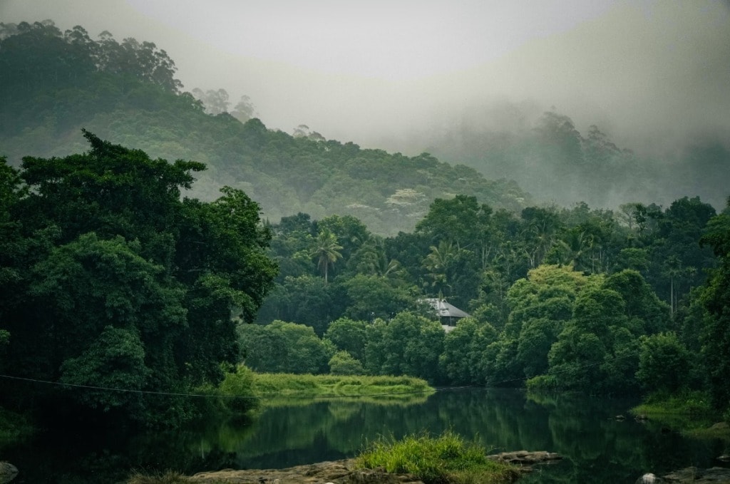 Periyar Wildlife Sanctuary