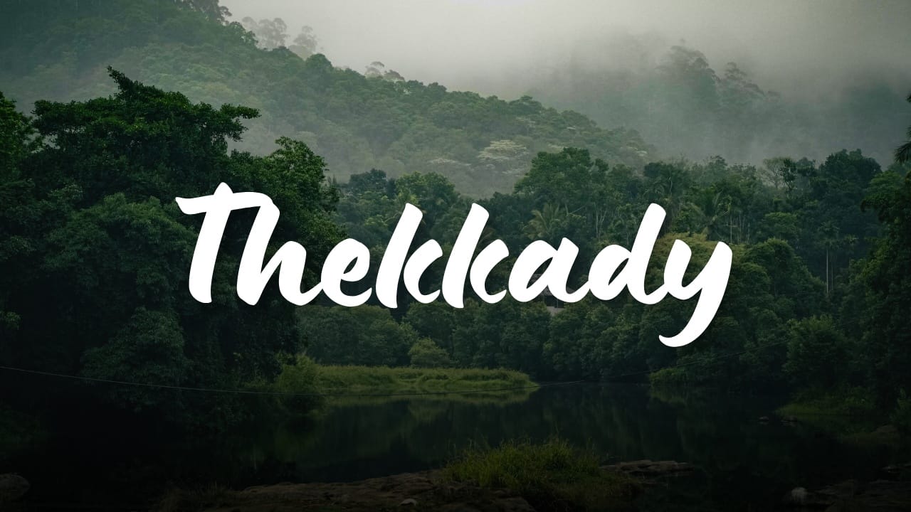 Thekkady Tourist Places - Places to Visit in Thekkady, Things to do & Travel Guide