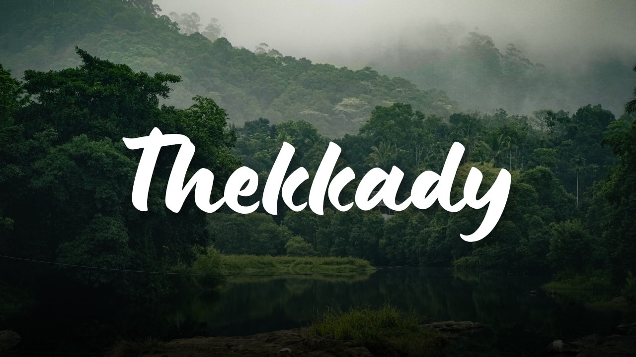 Thekkady Tourist Places - Places to Visit in Thekkady, Things to do & Travel Guide