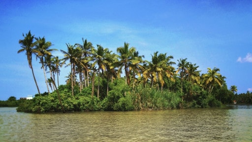 Poovar Island Travel Guide, Things To Do In Poovar Island & Itinerary