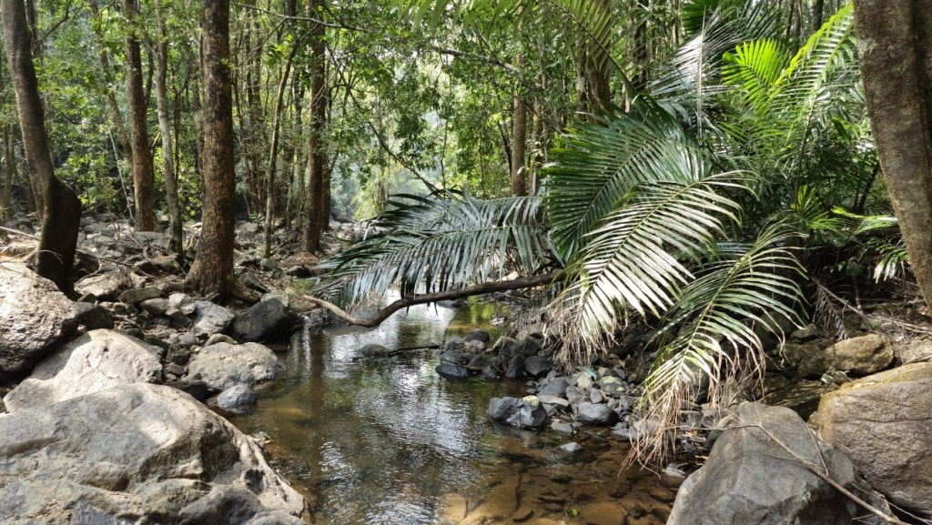 Our Adventure to Dudhsagar Falls Goa