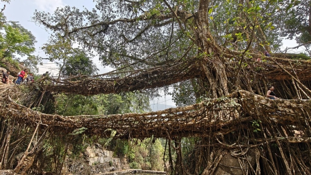 Cherrapunji root bridge, monsoon destinations in India 2025